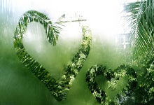 探索海南天涯论坛网址的小秘密，一起来唠叨唠叨这个有趣的地方吧！我记得第一次偶然点进去的时候，就感觉像回家一样亲切。